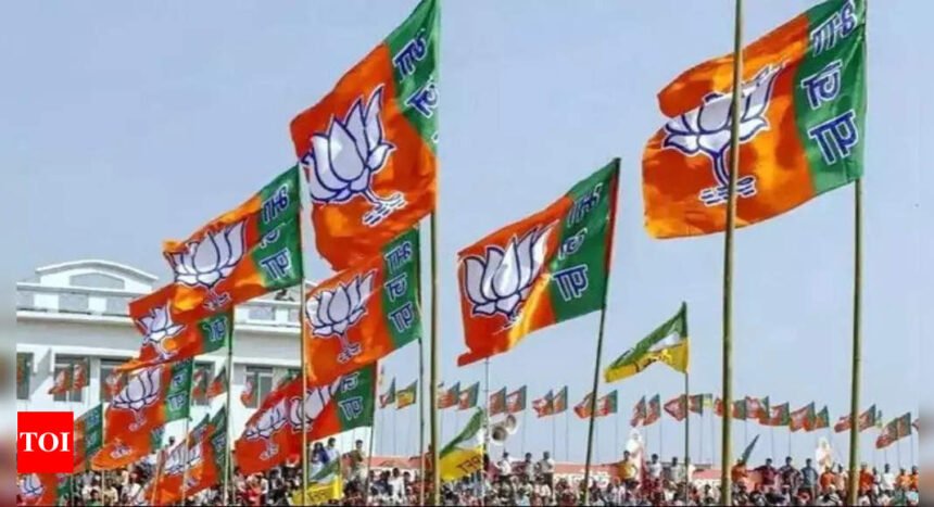 BJP announces manifesto committee for the Lok Sabha election | India News