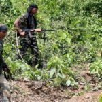 Naxal camp busted on Maharashtra-Chhattisgarh border, explosives seized