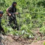 Security forces seize explosives, Maoist literature in anti-Naxal op in Maha