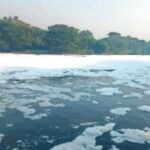 Chennai lakes contaminated with 'Forever Chemicals' linked to cancer and liver damage, ETCFO