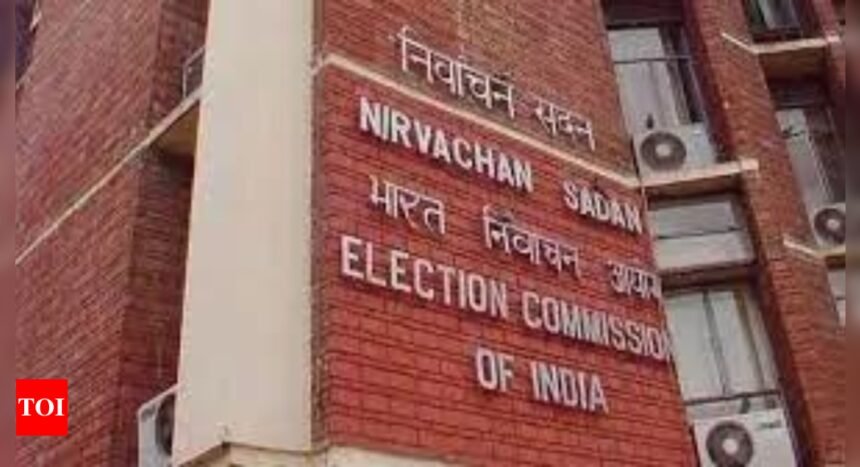 EC unveils tailored plan to boost voter turnout in urban and rural areas | India News