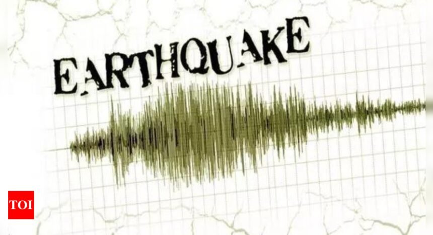 Earthquake of magnitude 4.3 hits Andaman islands | India News