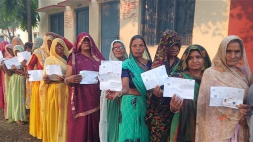 Elderly, disabled voters weigh up EC`s `Vote from Home` scheme