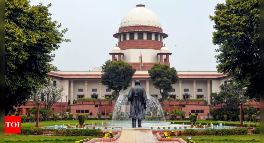HC should not interfere in trial court's acquittal order: SC | India News