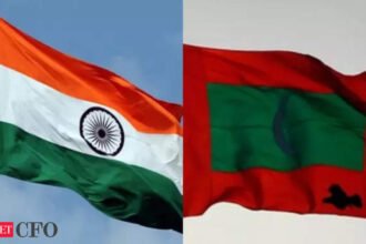 India removes export restrictions on rice, onions, sugar, 6 others to Maldives, ETCFO