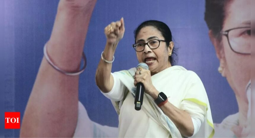 Lok Sabha polls: Mamata Banerjee says 'probe agencies working for BJP', seeks level-playing field | India News