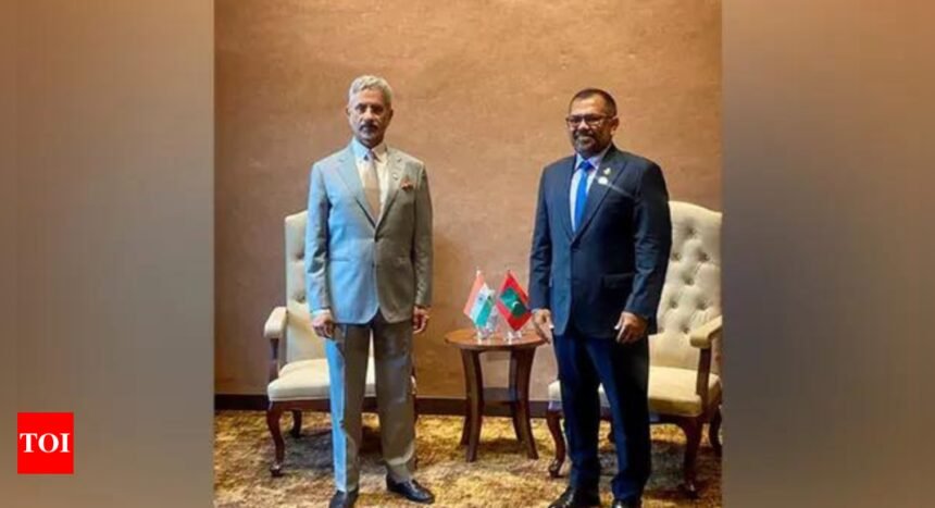 'Signifies longstanding friendship': Maldives foreign minister thanks India for allowing export of essential commodities | India News