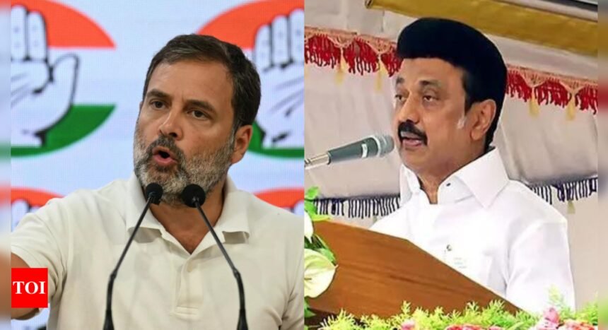 Tamil Nadu: Rahul, CM Stalin to frontline INDIA rally in Coimbatore on April 12 | India News