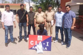 UP man held smuggling 2.60 kg opium in Ambala | India News