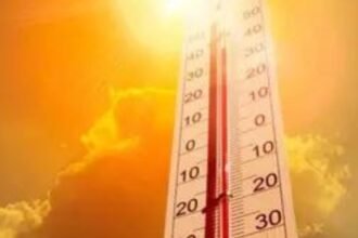 10 poll personnel among 14 dead in Bihar due to heatstroke | India News