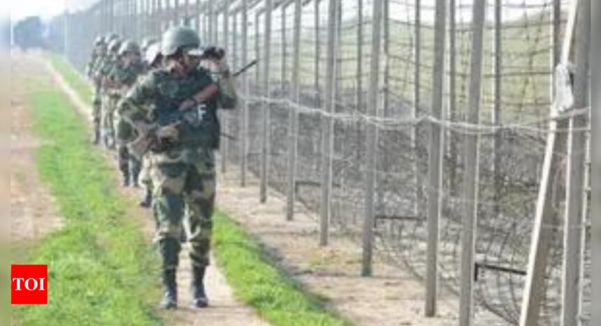 BSF brings down Pakistan drone in J&K | India News