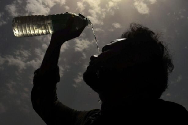 Delhi`s Mungeshpur records unprecedented high of 52.3 degrees Celcius