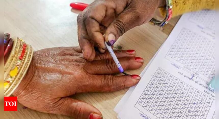 Lok Sabha polls: Names of Jamshedpur urban voters go missing from voter list | India News