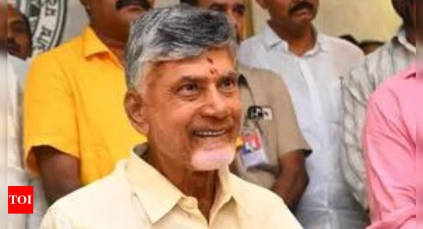 Andhra CM Naidu visits Amaravati, promises white paper on the capital city | India News