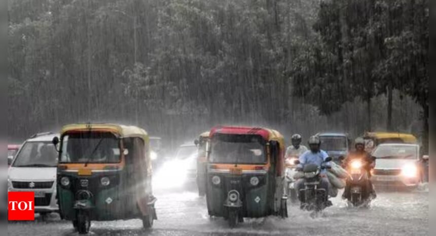 Delhi rejoices as trailer of monsoon releases