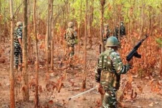 Five Maoists killed in encounter in Bastar | India News