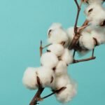 ICE cotton hits 2-year lows, traders waiting to buy at low prices