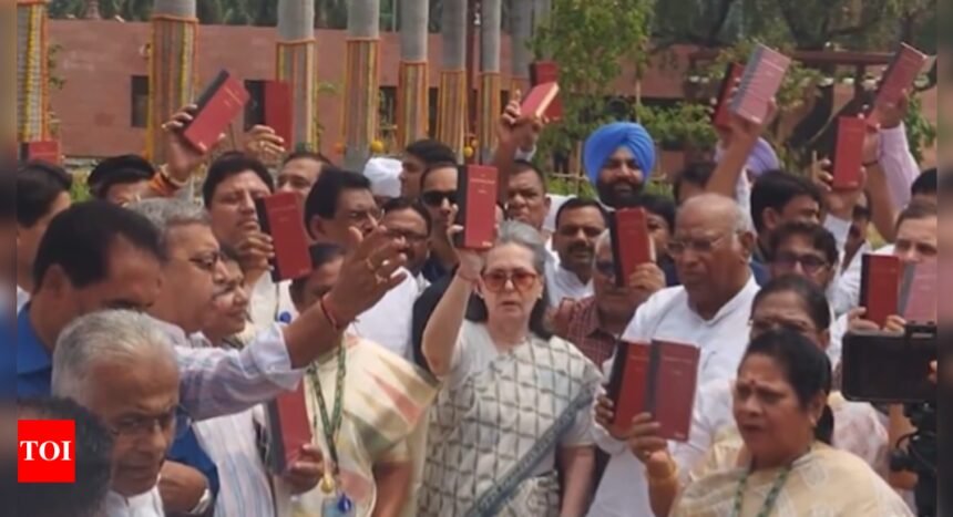 INDIA bloc's show of strength in parliament, raise call to 'save Constitution' | India News