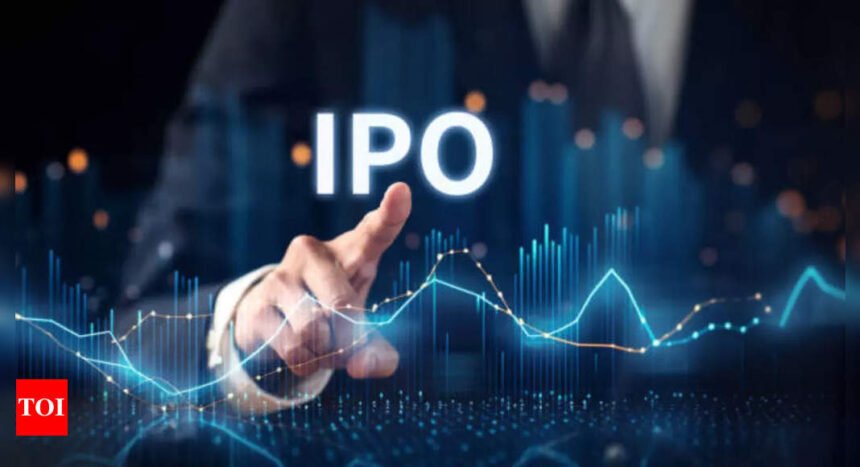 IPO wave in India has no reason to stop, say analysts