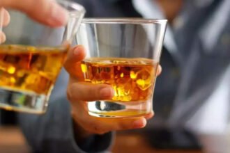 Japanese alcoholic beverage maker Suntory sets up India subsidiary