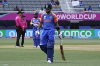 "Pressure Of Strike Rate": Ex-India Star Criticises Virat Kohli's Dismissal vs Ireland