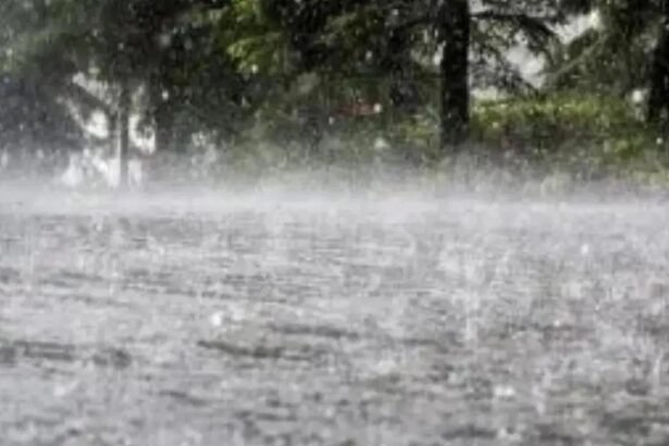 Rain brings relief from intense heat in Delhi