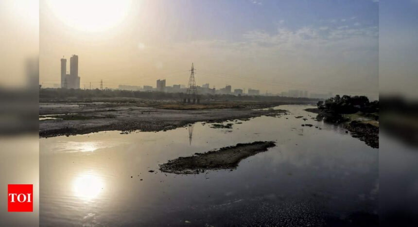 Supreme Court tells Yamuna Board to decide on Delhi's plea for more Haryana water ASAP | India News