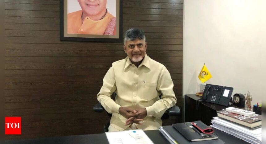 TDP's Naidu family's wealth up Rs 858 crore in 5 days as stock rallies