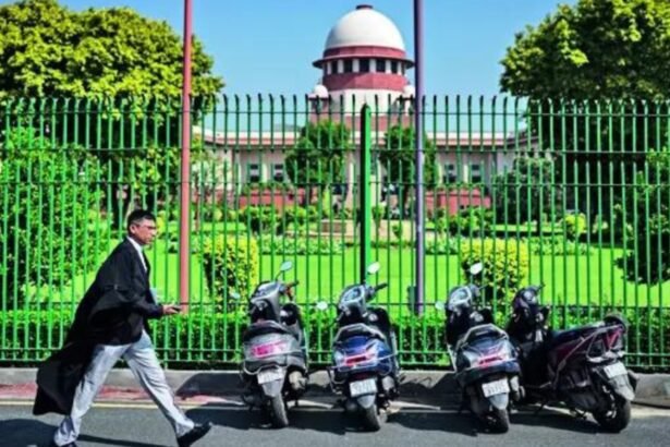 Courts shouldn't stay bail order in casual manner: Supreme Court | India News