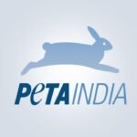 Delhi: Sale of glue traps stopped across markets after PETA India`s appeal