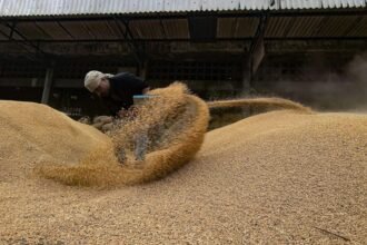 Government to resume wheat sale, will consider lifting rice export ban | India News