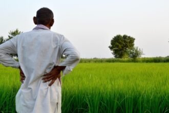 Maharashtra: 557 farmers ended lives in 6 months this year in Amravati division