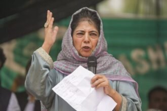 Contesting J&K polls to stop BJP from burying Article 370, Kashmir issue: PDP's Mehbooba Mufti | India News