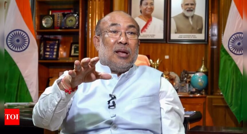 'Crisis in Manipur is due to ...': CM N Biren Singh reiterates role of 'foreign hand' behind violence | India News