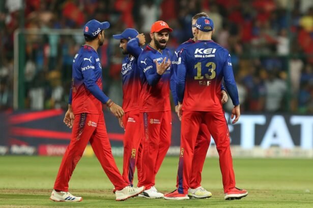 Delhi T20 League Sensation Makes Big 'Virat Kohli Pitch' To RCB Ahead Of IPL Auction