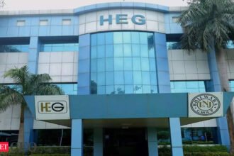 HEG CFO Gulshan Kumar Sakhuja resigns, CFO News, ETCFO