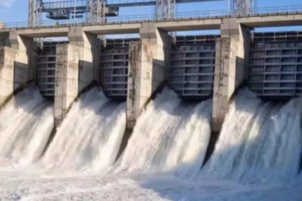 Hydro Electric Projects: Indian government allocates Rs 12,461 crore for hydel projects | India News