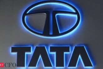 Tata Sons board may see new faces soon, CFO News, ETCFO