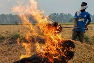 'पराली जलाने से रोकने के लिए क्या कदम उठाए, रिपोर्ट दें'; आयोग को सुप्रीम कोर्ट ने लगाई फटकार