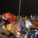 After PETA complaint, MBVV cops initiate action against illegal horse cart race