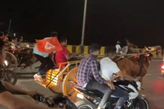 After PETA complaint, MBVV cops initiate action against illegal horse cart race