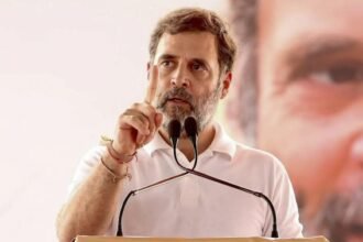 `Disease of unemployment` spread by BJP has put future of youth in danger: Rahul