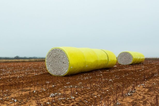 ICE cotton prices rise due to crop damage concerns, stronger crude oil