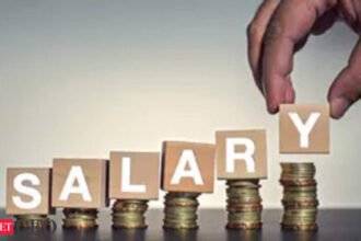 India Inc to offer 9.5% salary hike in FY25, projects survey, CFO News, ETCFO