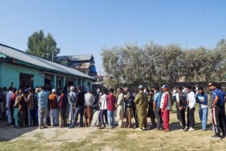 Jammu and Kashmir assembly election: Jamaat-backed candidates routed