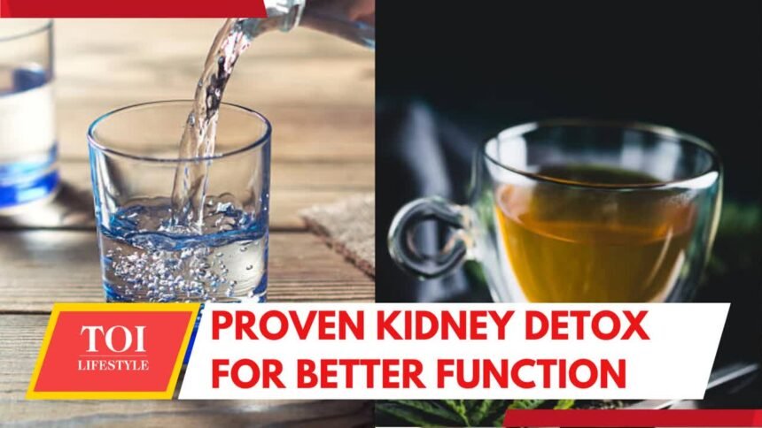 8 Daily detox things to do to keep your kidneys naturally healthy