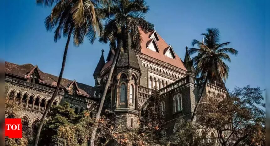Bombay HC notes her signature not on airport panchanama; grants bail to foreign national in NDPS case | Mumbai News