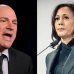 'Complete loser in 2020, had no compassion': Millionaire Shark Tank judge's fiery remarks on Kamala Harris