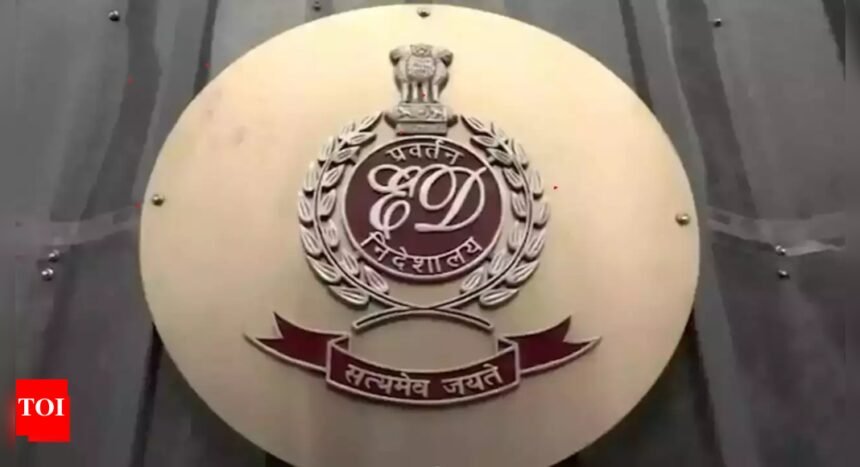 ED names Russian as Rs 800 crore OctaFx scam mastermind