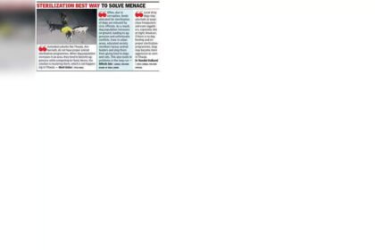 Elderly Woman Severely Injured in Two-Minute Dog Attack in Kalyan | Mumbai News